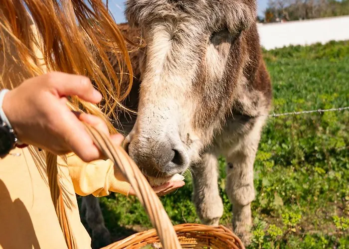 Jardines De Zahora C02 Feriehus *