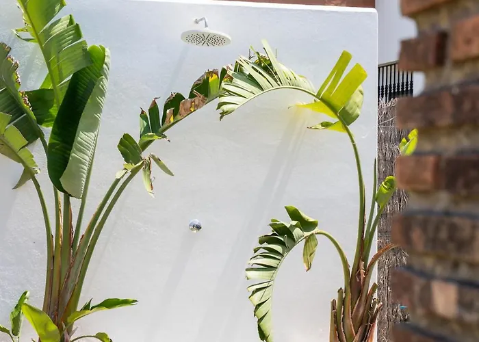 Jardines De Zahora C02 كاديز